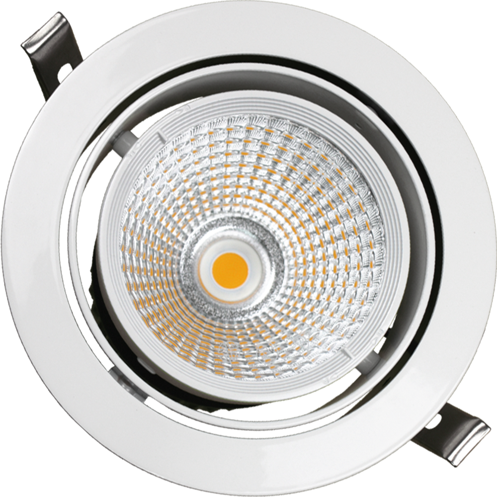 Down Light drehbar LED 17W 3000K