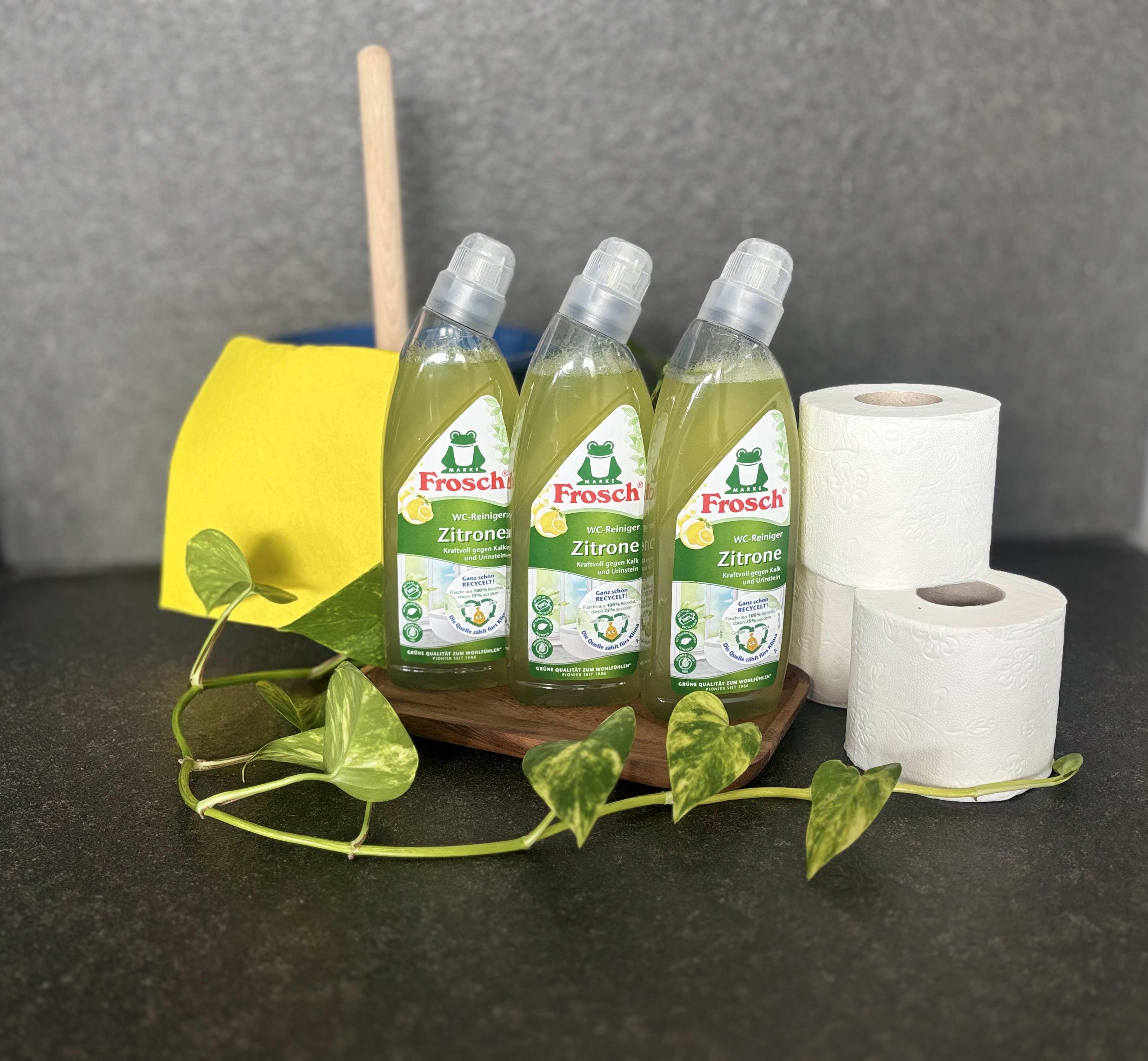 Frosch Zitronen WC Reiniger 750ml 3er-Bundle (20 % sparen)