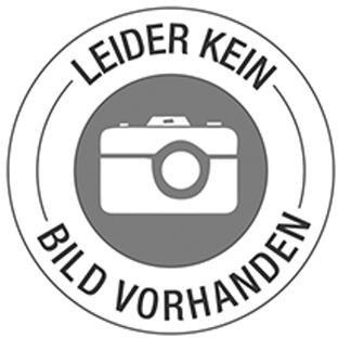 ALCO Büroklammer ALCO runde Form 26mm Metall kunststoffüberzogen farbig sortiert 100 St./Pack.