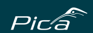 Pica