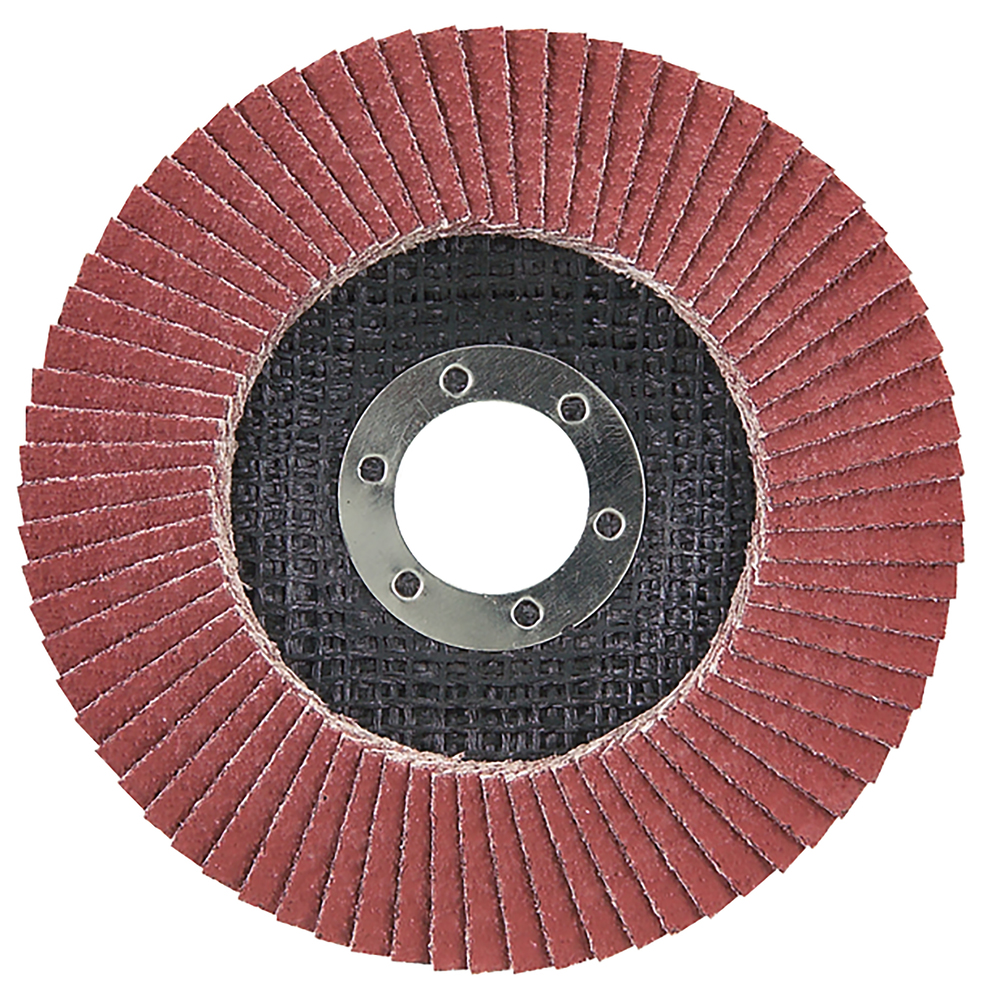 D-28519 Fächerscheibe