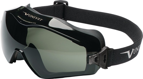 Vollsichtschutzbrille 6x3 EN166,EN170,EN