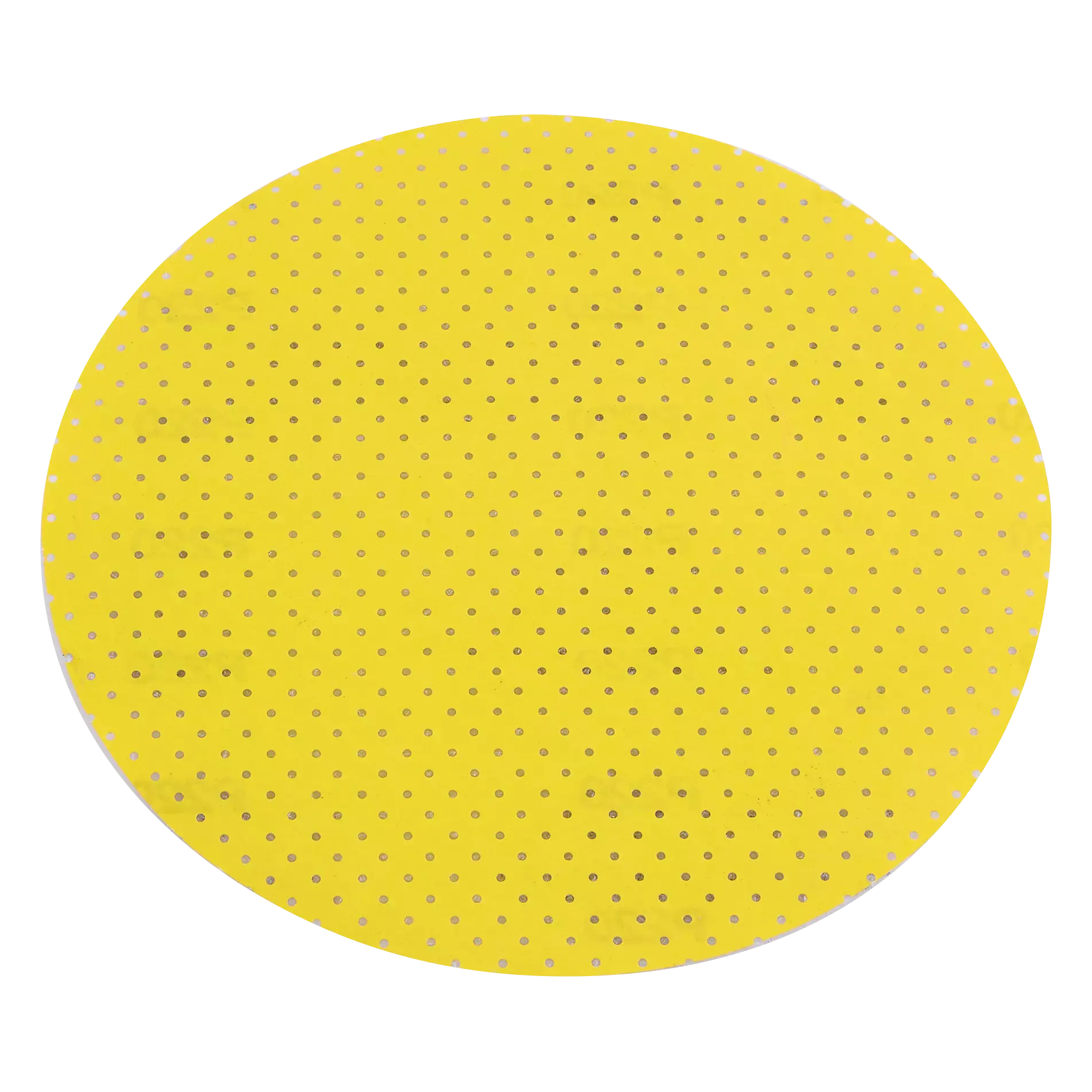 P40 Flex Schleifpapier Xtreme Plus | Ø 225 mm (VE)