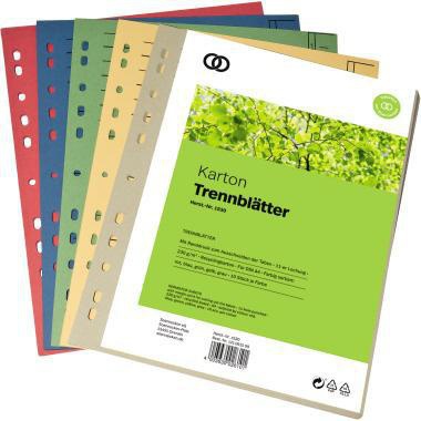 SOENNECKEN Trennblatt Soennecken oeco DIN A4 Recyclingkarton farbig sortiert schwarz 50 St./Pack.