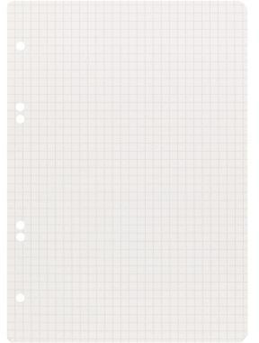 LANDRÉ Ringbucheinlage Landré DIN A5 kariert 70g/m² 6fach Lochung weiß 50 Bl./Pack.