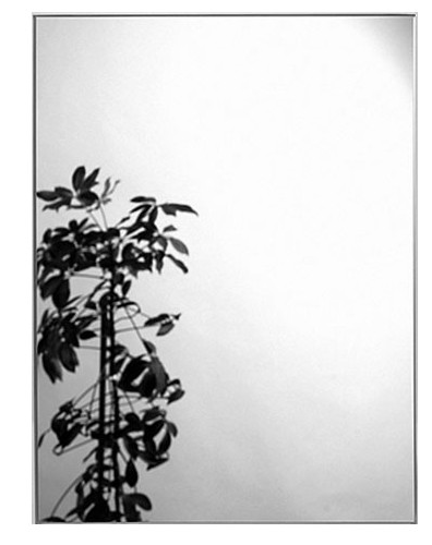 Spiegel 60,0 x 120,0 cm von Sanibel