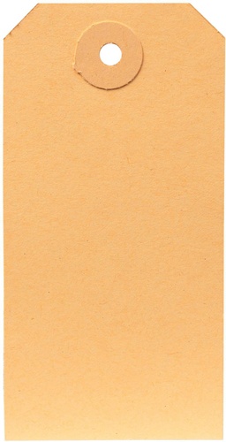 TRANSPAK Etiketten m.Anhängeöse Maße 50x100mm Qualität 190g/qm altweiß